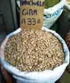 Habichuela Pinta libra